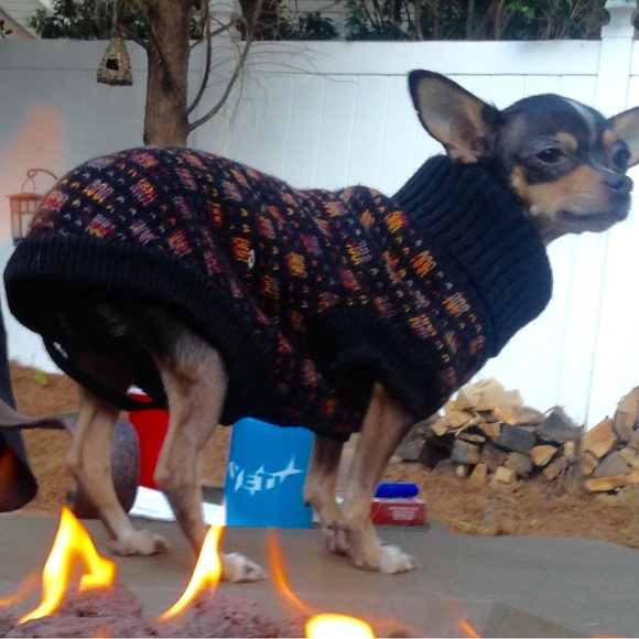 🐾WARM DOG TURTLENECK SWEATER🐾 - Picture 1 of 10